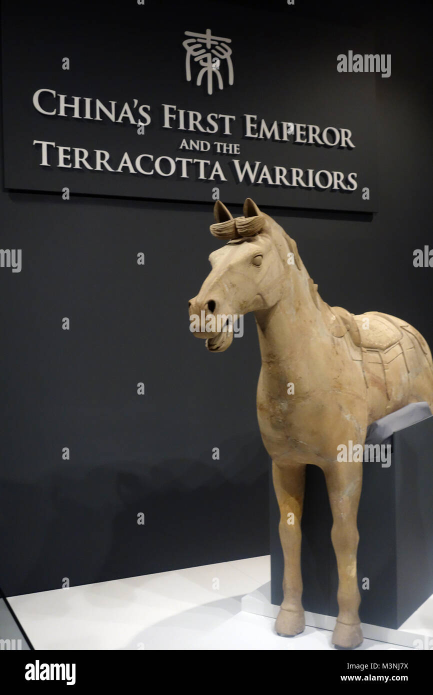 Leben Größe Kavallerie Pferd in Chinas erster Kaiser und die Terrakotta-krieger Ausstellung auf der Welt Museum, Liverpool, England, UK. Stockfoto