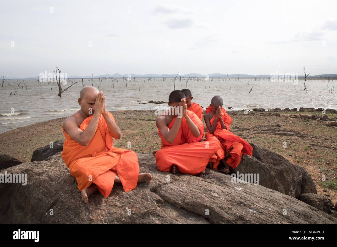 Buddhistische Mönche beten, meditieren am See rock tote Bäume in Sri Lanka Kaudulla National Park Stockfoto
