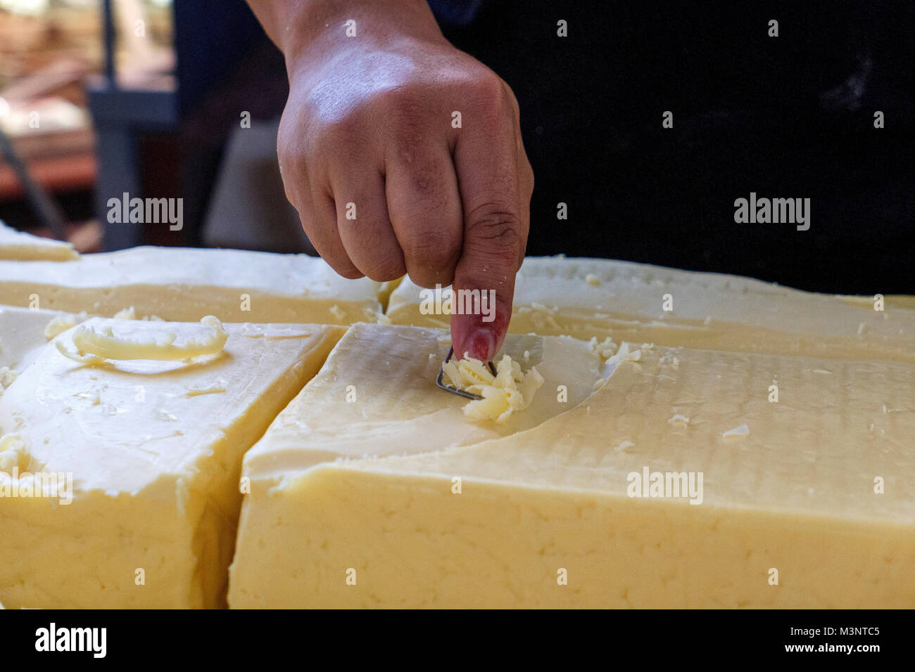 Say Cheese Festival Käse schnitzen Markt Melbourne Australien Stockfoto