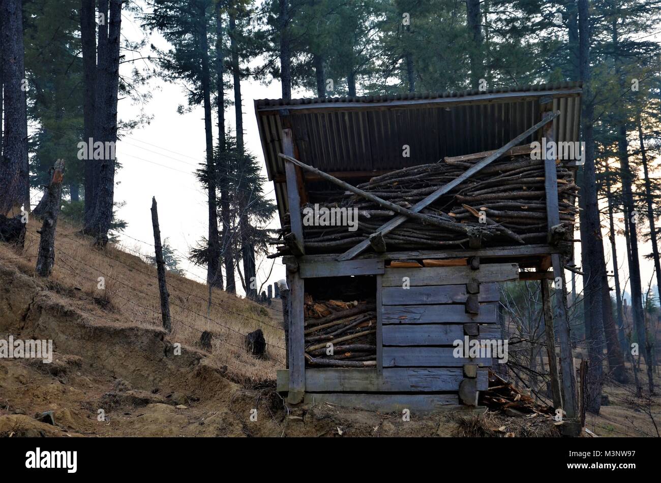 Baumstämmen gehalten für den Winter, Kaschmir, Indien, Asien Stockfoto