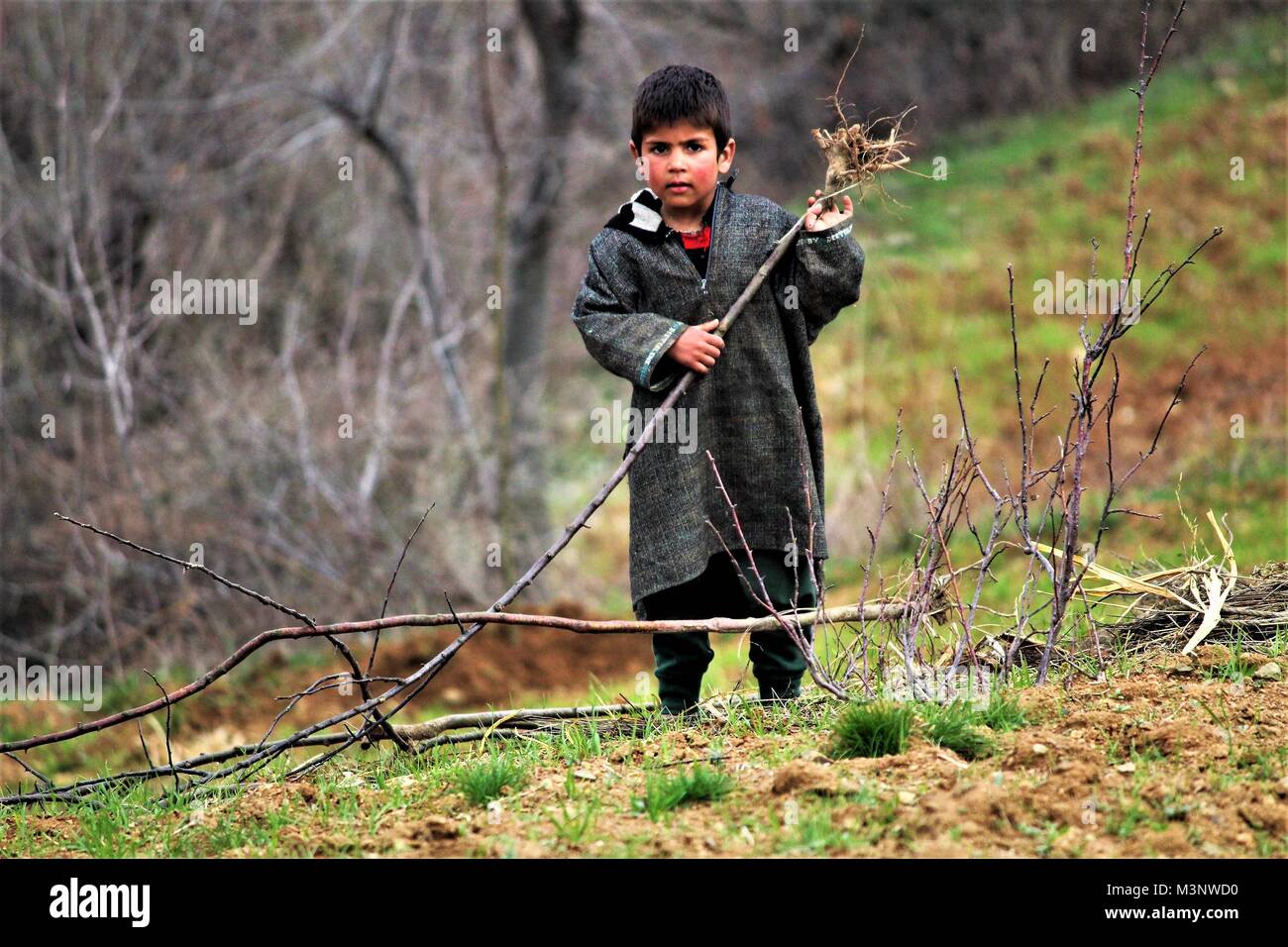 Kaschmir Junge, kupwara, Kaschmir, Indien, Asien Stockfoto