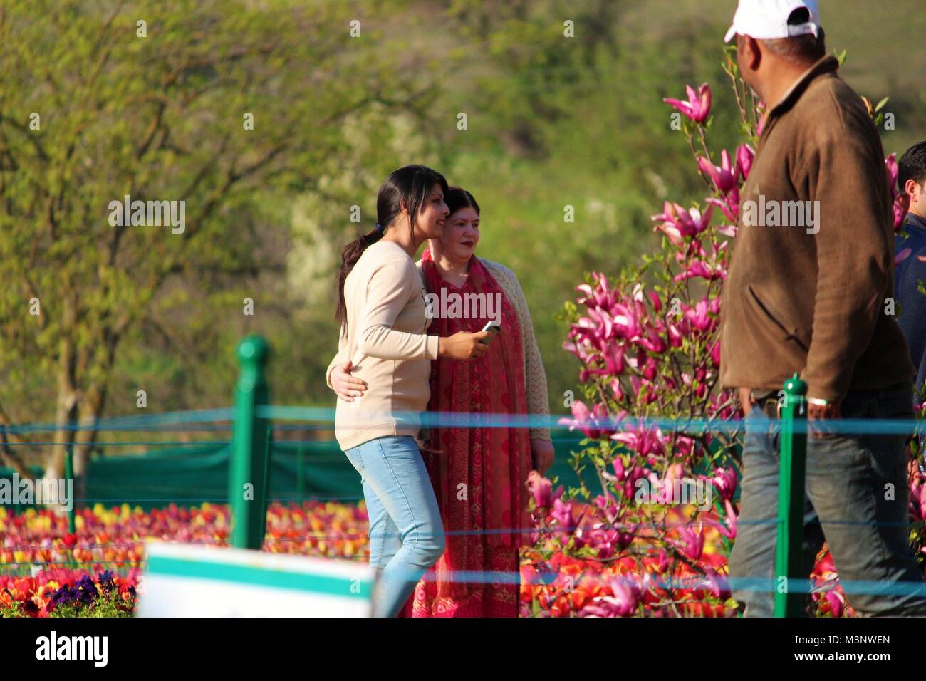 Touristen in Indira Gandhi Memorial Tulip Garten, Kaschmir, Indien, Asien Stockfoto