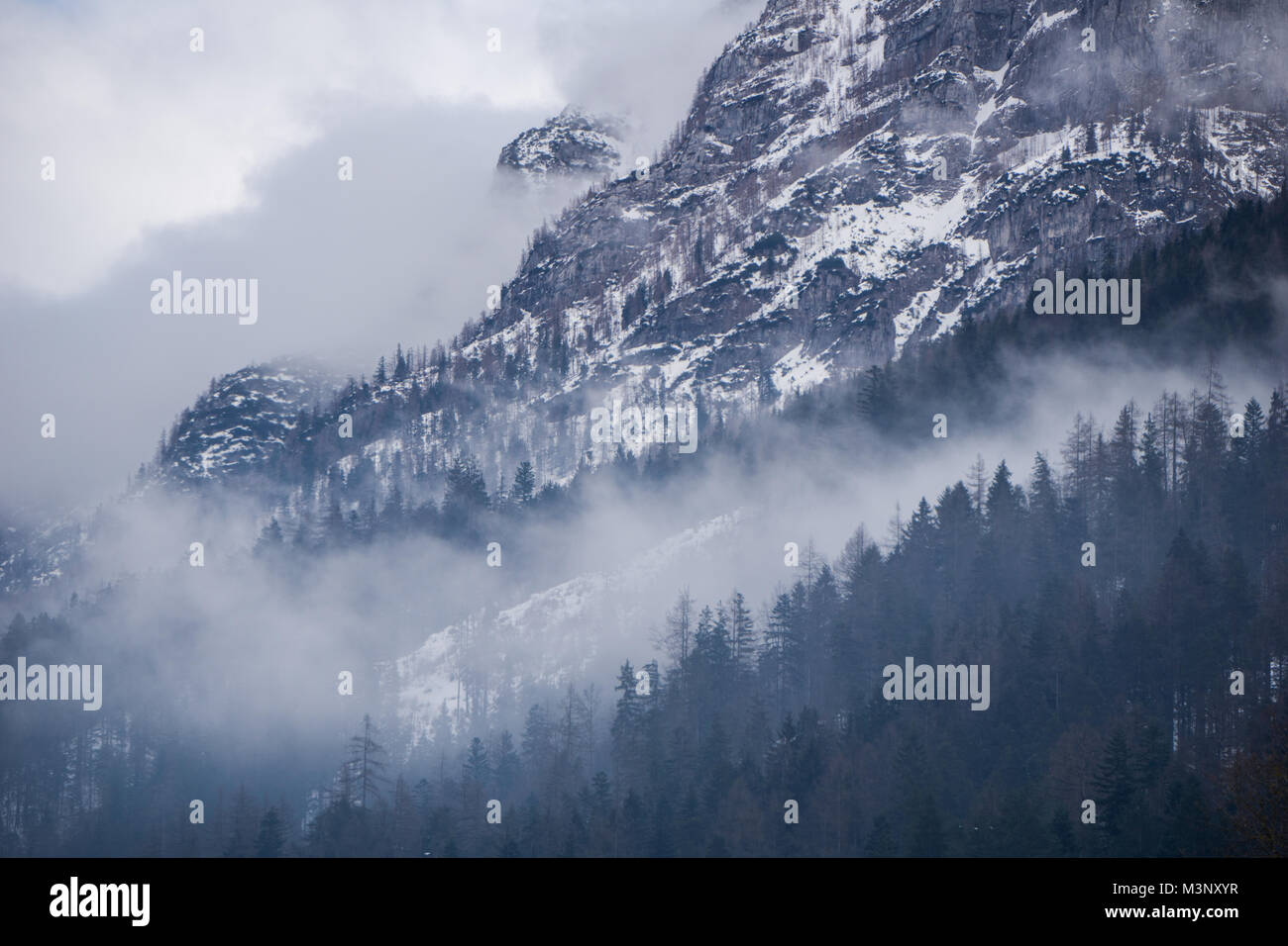 Geheimnisvolle Landschaft mit dichten Nebel über den Berghang und umschloss den dunklen Wald Stockfoto