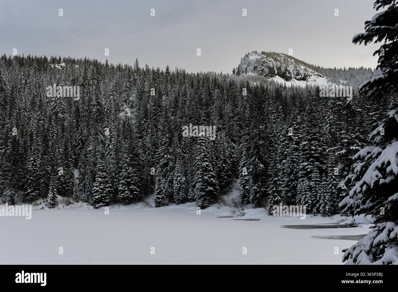 Trillium Lake über während des Winters in Mt eingefroren. Hood National Forest in Oregon. Stockfoto