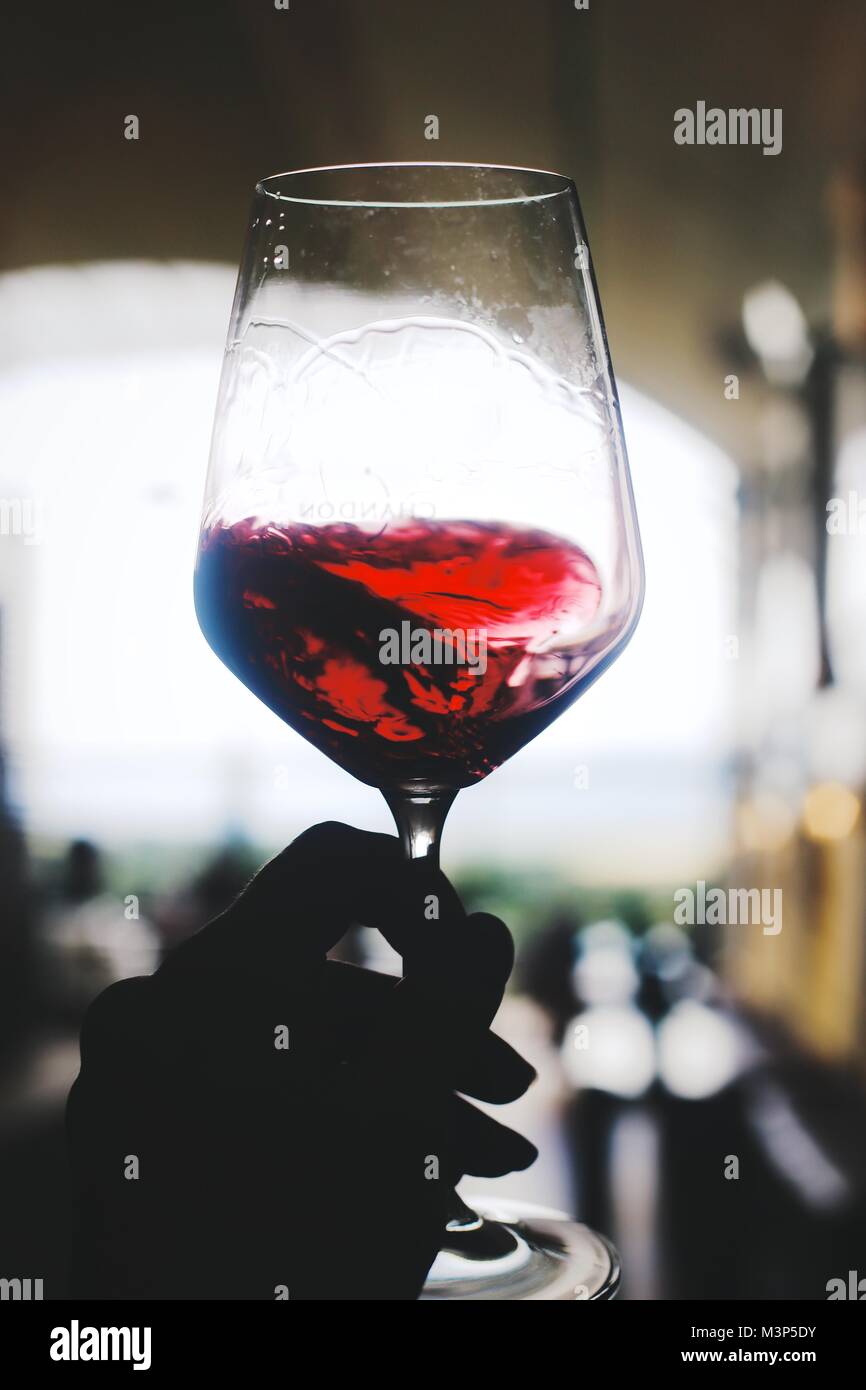 Weinberge und Weinprobe in Yarra Valley Region Stockfoto