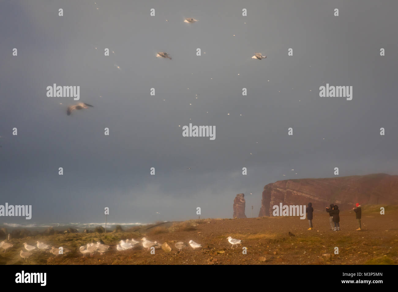 Wild shore auf Helgoland, Deutschland Stockfoto