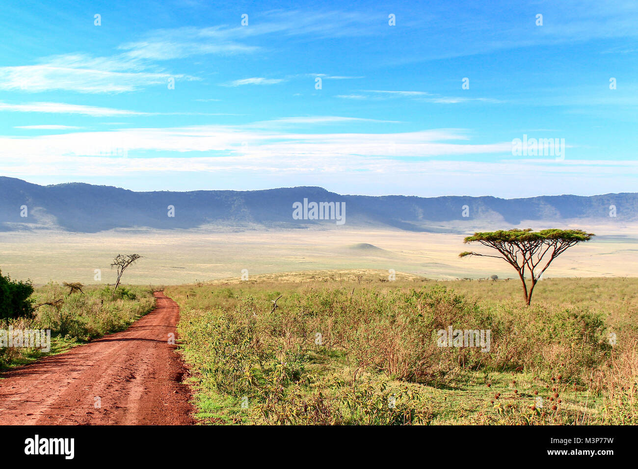 Schmutz Straße zum Ngorongoro Krater, Tansania Stockfoto
