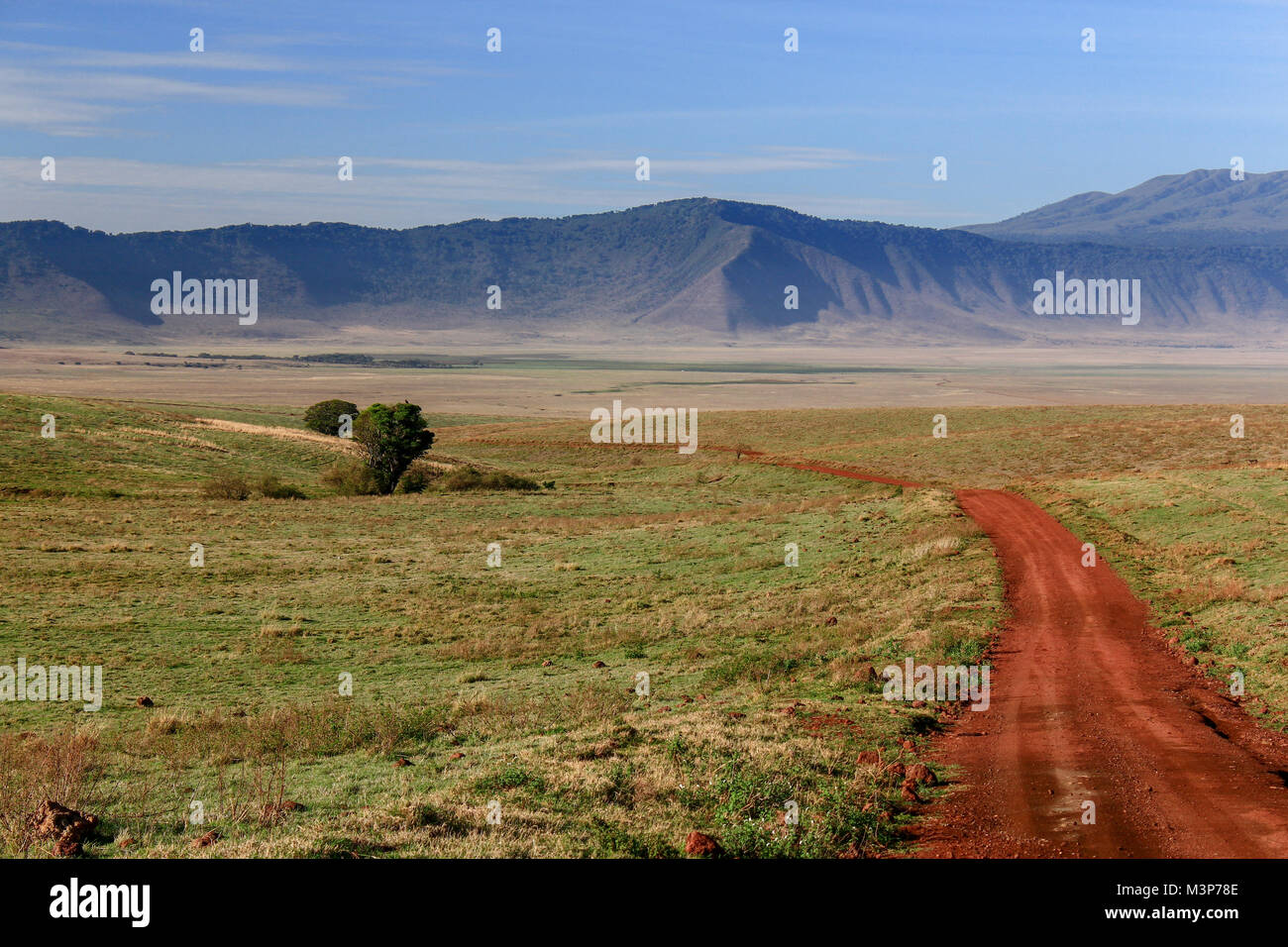 Schmutz Straße zum Grünland in den Ngorongoro Krater, Tansania Stockfoto