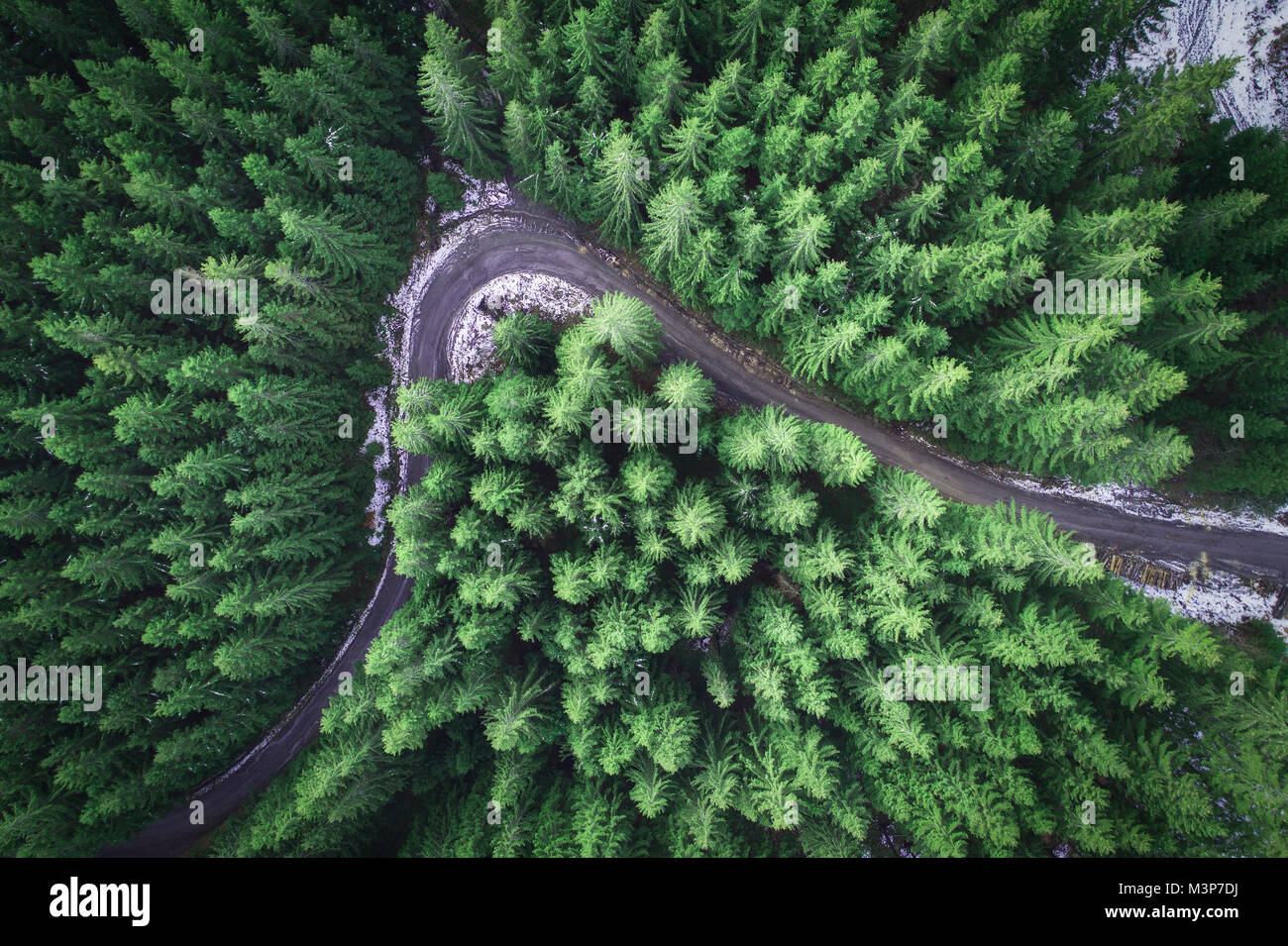 Leere Straße in einem Wald von einer Drohne Stockfoto