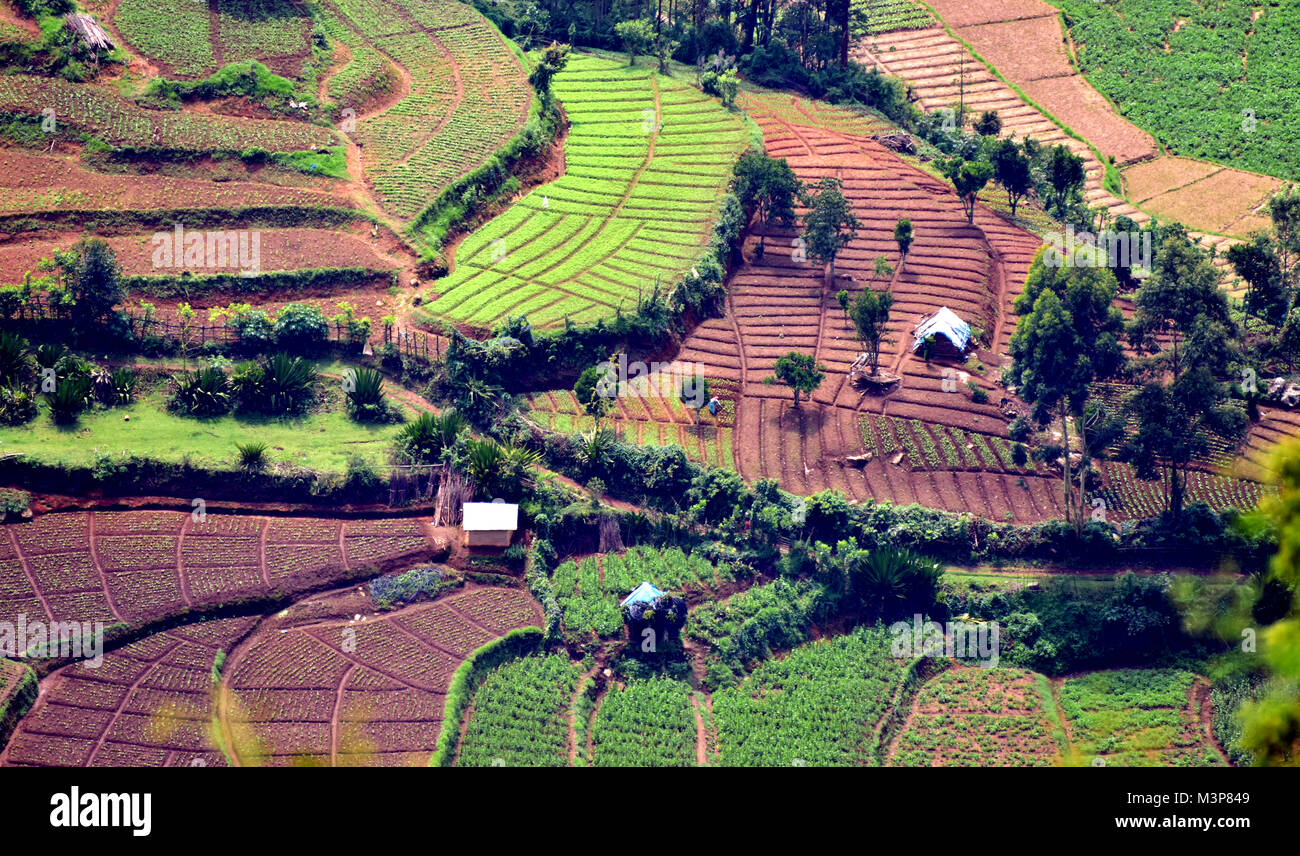 landwirtschaftlich genutzter Flächen Stockfoto