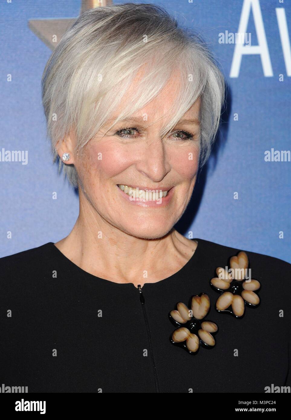 Beverly Hills, USA. 11 Feb, 2018. Glenn Close in der Ankunftshalle für Writers Guild Awards 2018 (WGAs) Westküste Zeremonie, The Beverly Hilton Hotel, Beverly Hills, CA Februar 11, 2018. Credit: Elizabeth Goodenough/Everett Collection/Alamy leben Nachrichten Stockfoto