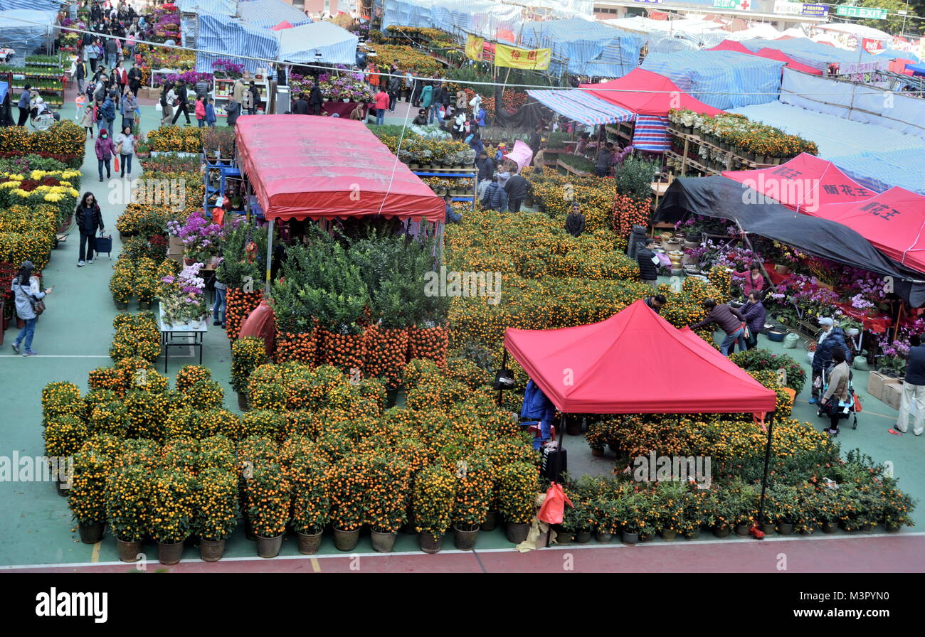 Anzeige von Frühlingsblumen und viel Grün im Mondjahr Blumenmarkt in Tsuen Wan. Stockfoto