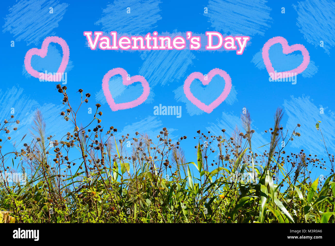 Gras Blume Rahmen in das Konzept der Valentines Stockfoto