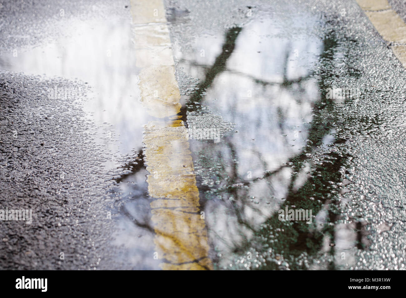 Regen pool Bäume und Himmel auf einem Fahrrad Lane Stockfoto