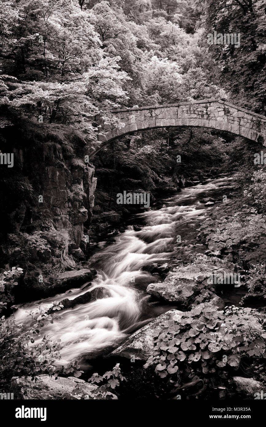 Das idyllische Ilsetal im Harz mountainrange, Deutschland Stockfoto