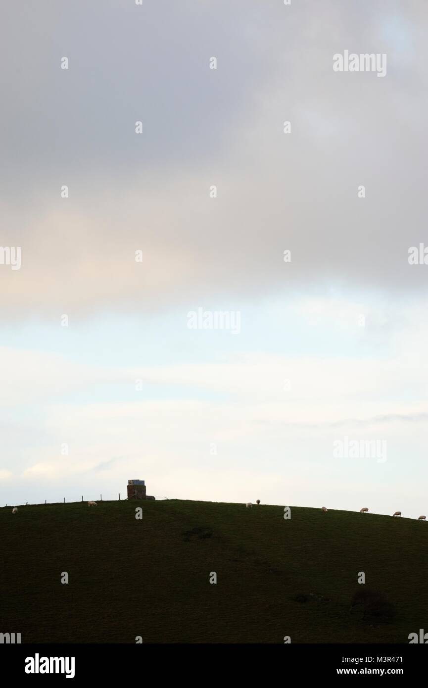 Square Stone Struktur auf eine geschwungene Hügel mit Schafe weiden, Wales, UK. Stockfoto