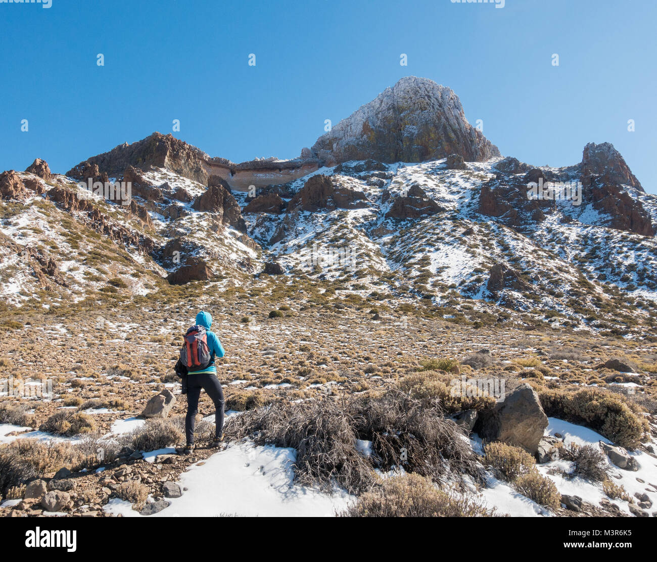 Weibliche Wanderer in schneebedeckten Teide Nationalpark Teneriffa, Kanarische Inseln, Spanien. Stockfoto