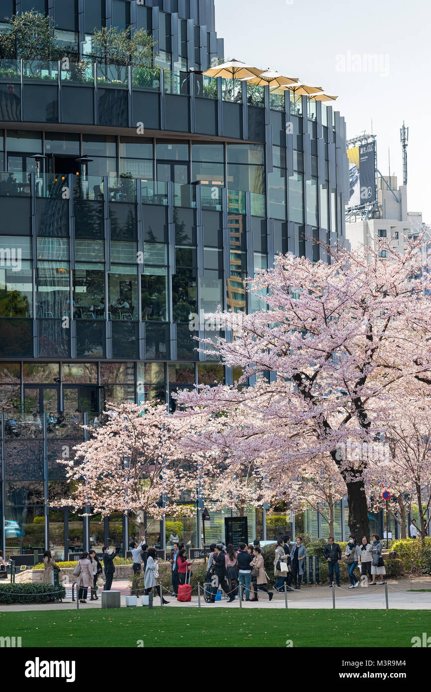 Japan, Insel Honshu, Kanto, Tokio, die Midtown Roppongi Bezirk im Frühjahr. Stockfoto