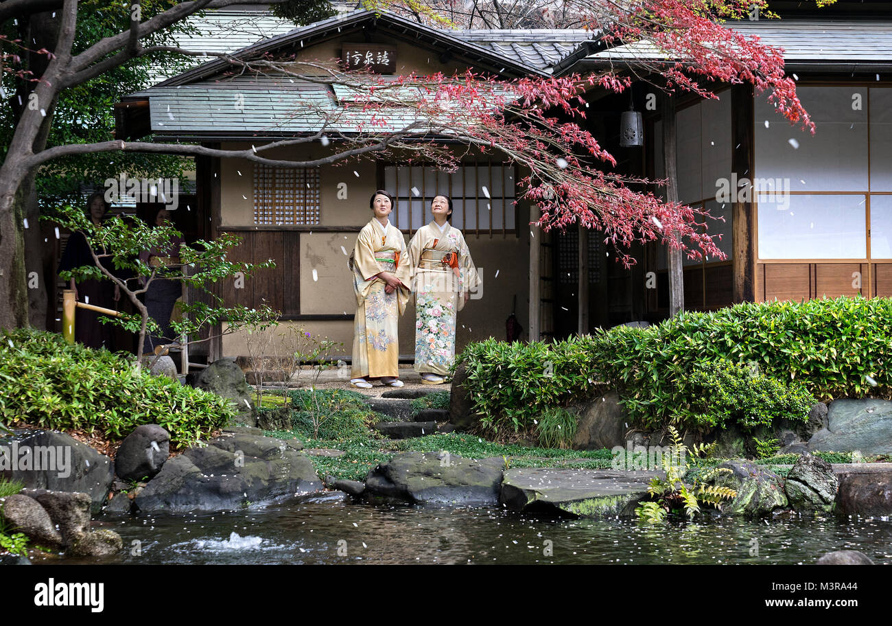 Japan, Insel Honshu, Kanto, Tokio, Cherry Blossom Blossom Blütenblätter fallen. Stockfoto