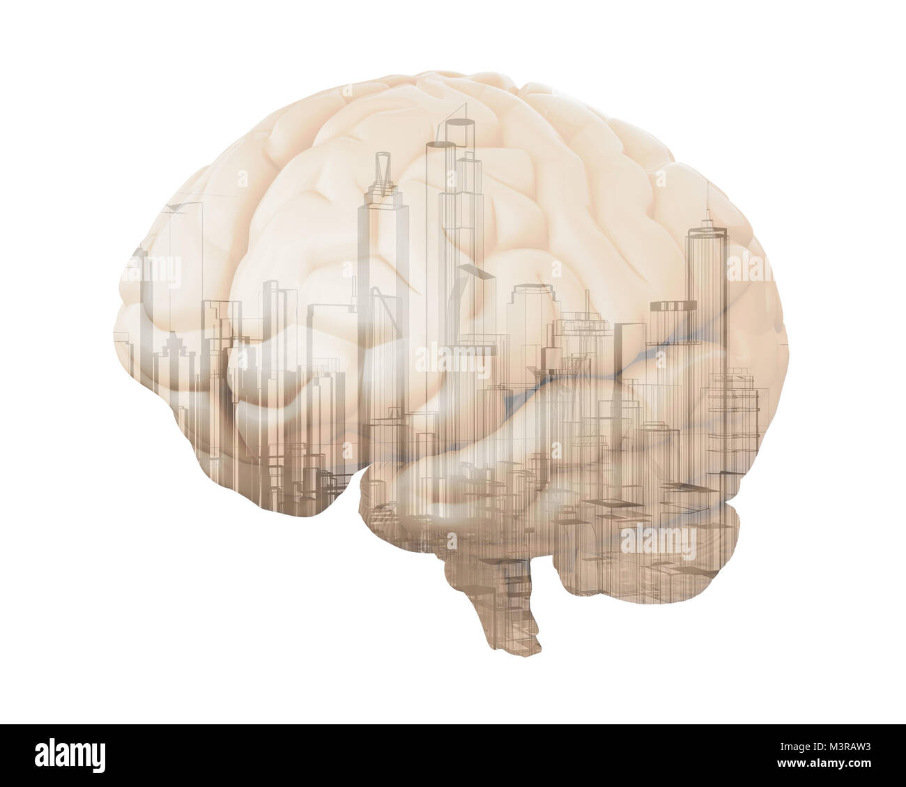 Stadt im Gehirn isoliert auf Weiss. 3D-Rendering Stockfoto