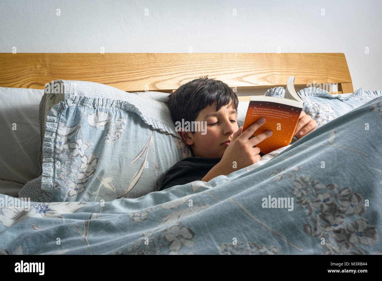 Junge mit einem Buch im Bett,, Großbritannien Stockfoto