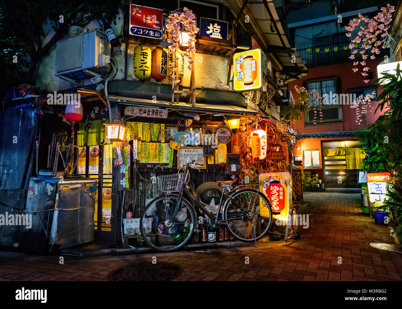 Japan, Insel Honshu, Kanto, Tokio, malerischen Gasse. Stockfoto