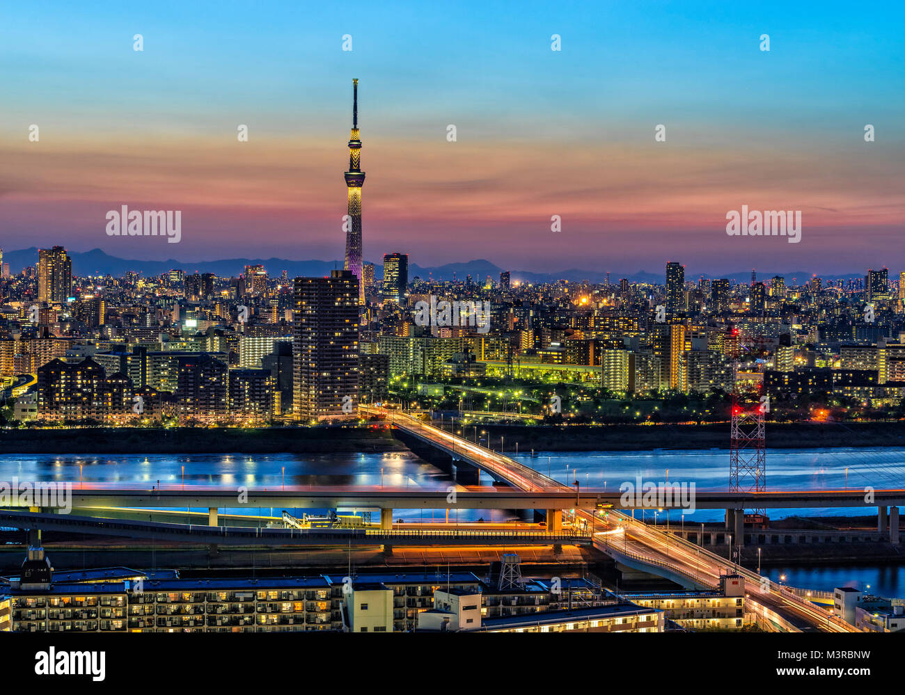 Japan, Honshu-Insel, Kanto, Tokio, Skyline in der Abenddämmerung. Stockfoto