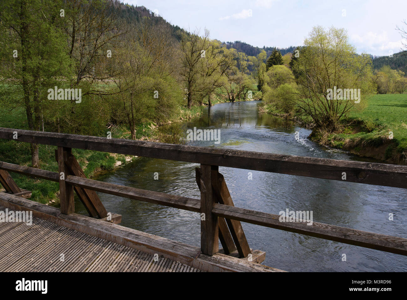 Bei pfahljochbrücke Neckarhausen, eine der ältesten erhaltenen Holzbrücken im süddeutschen Raum, zahlr Bauteile stammen aus dem Jahre 1252, Baden-W Stockfoto