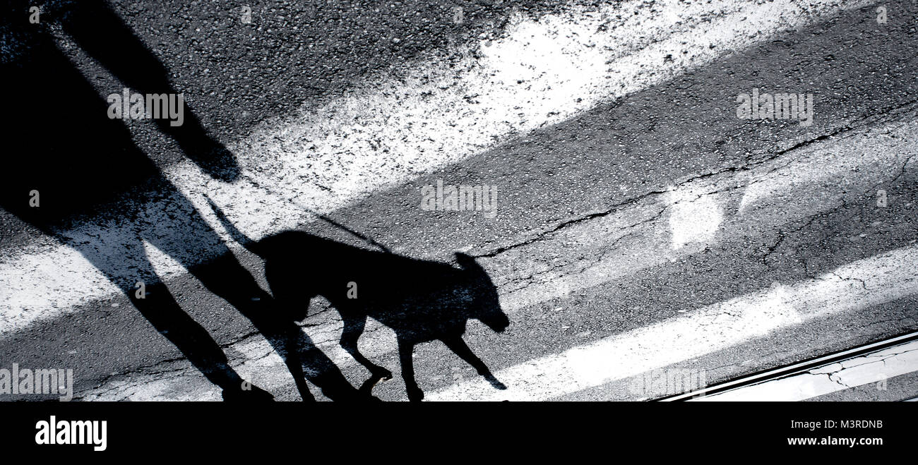 Schatten Silhouette einer Person, die einen Hund an der Leine und Überqueren der Straße Stockfoto