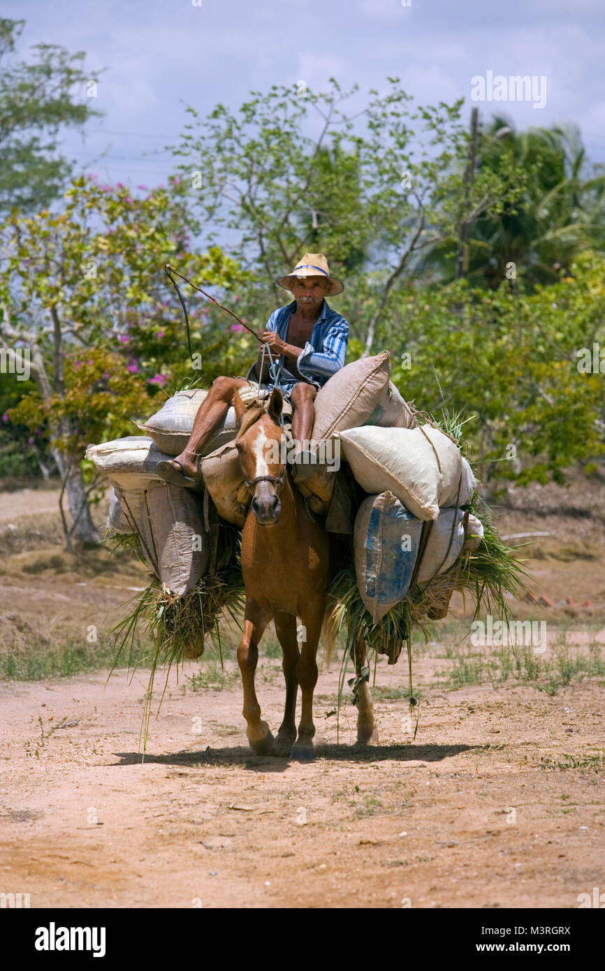 Brasilien. Aracoiaba. Landwirt auf Pferd als Lasttier. Stockfoto