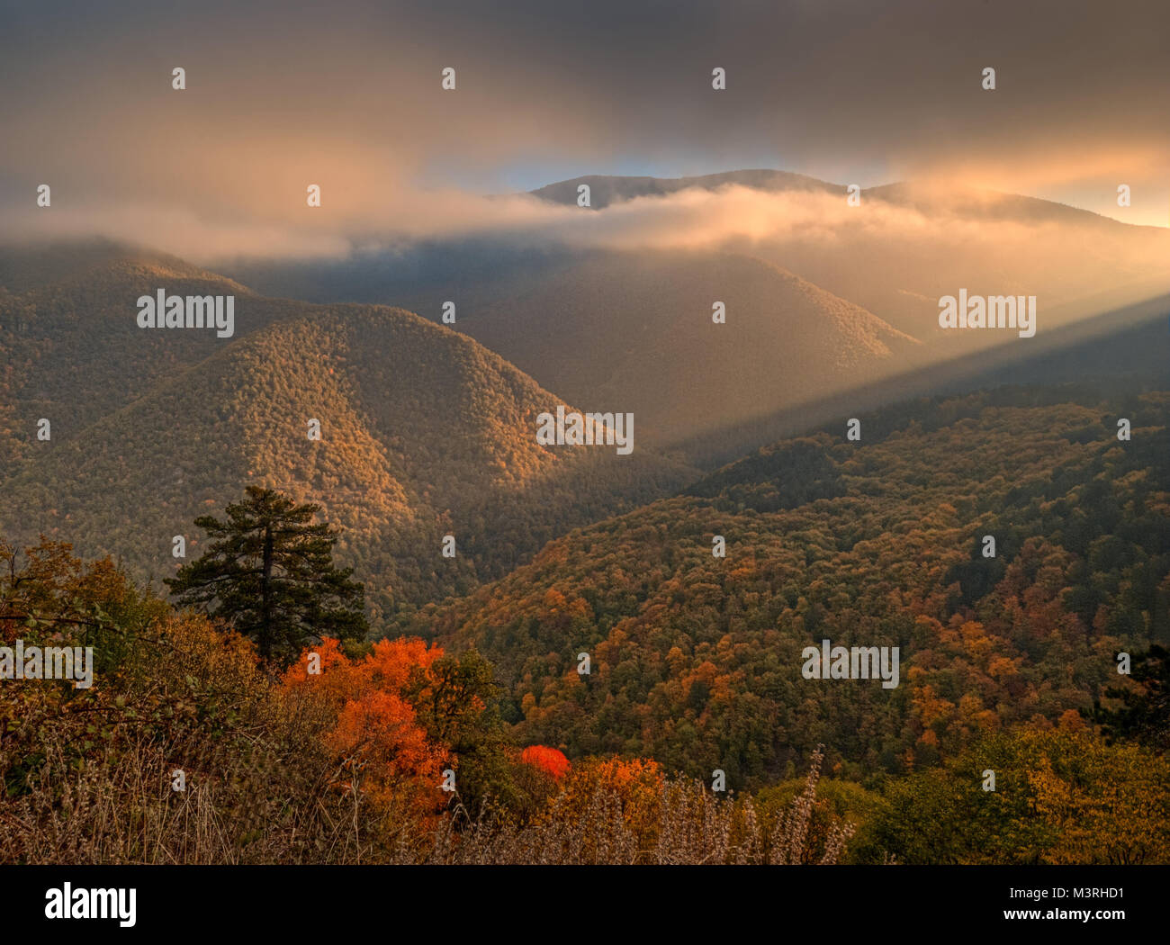 Schönen morgen Licht bei Rhodopi Mountain, Bulgarien Stockfoto
