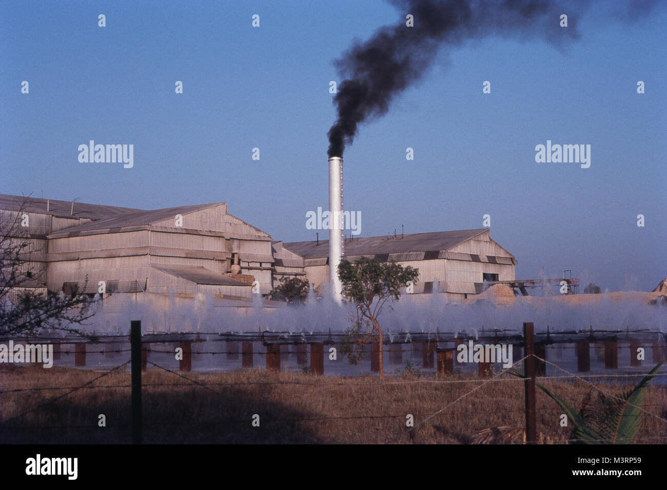 Smoke emitting aus Zuckerrohr Fabrik, Maharashtra, Indien, Asien Stockfoto