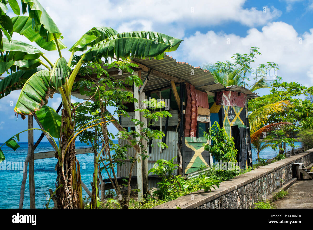 Banane Bäume entlang der karibischen Küste auf dem Weg nach James Bond Beach, Ocho Rios, Jamaika Stockfoto