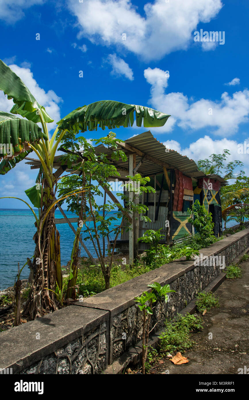 Banane Bäume entlang der karibischen Küste auf dem Weg nach James Bond Beach, Ocho Rios, Jamaika Stockfoto