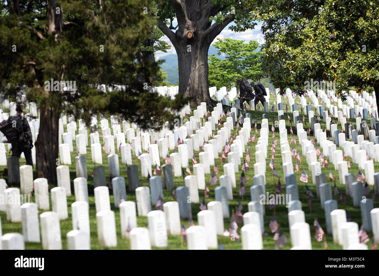 Militärische Ehren gefallene Helden unserer Nation, Soldaten aus dem 3. US-Infanterie Regiment (Die Alte Garde) Durchführung der "Flags-In" Mission bei den nationalen Friedhof von Arlington, Virginia. Mit mehr als tausend Soldaten teilnehmen, "Flags-In", eine altehrwürdige Tradition, ist reserviert für die Soldaten der 3. US-Infanterie Regiment (Die Alte Garde), eine kleine amerikanische Flagge vor mehr als 230.000 Grabsteinen, jeden Einzelnen auf dem Arlington National Cemetery begraben zu ehren. Alte Garde Soldaten setzte auch eine amerikanische Flagge am Fuß jeder Columbarium für die mehr als 400.000 auf das Konto Stockfoto