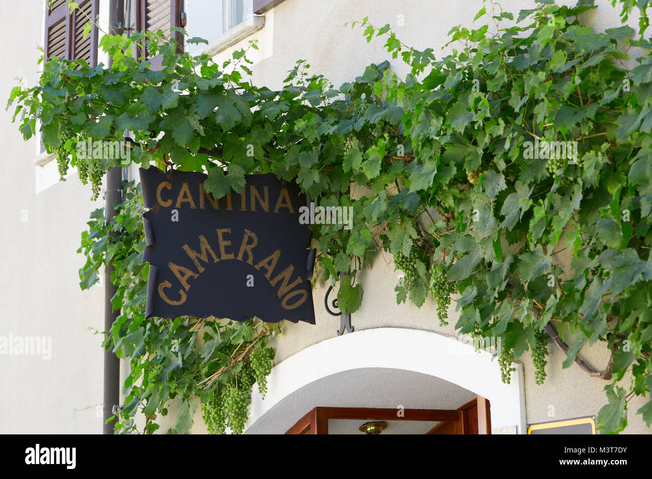 Camerano Weingut Schild mit grünen Weinstock Zweigniederlassungen, die in einem Sommer Tag in Piemont, Barolo, Italien. Stockfoto