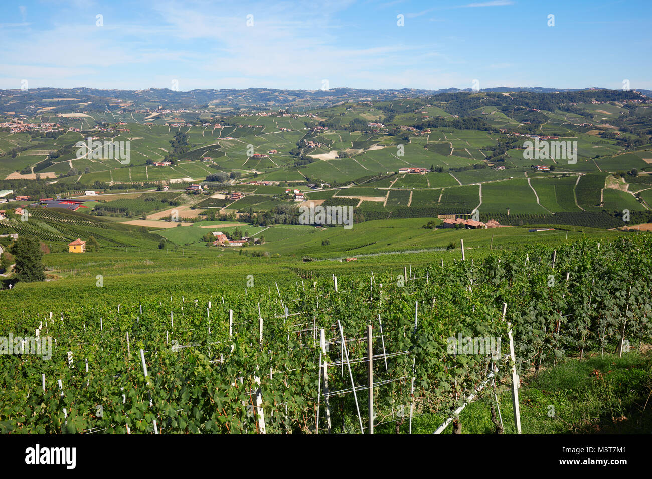 Grüne Weinberge und Hügel der Langhe Querformat an einem sonnigen Tag in Italien Stockfoto