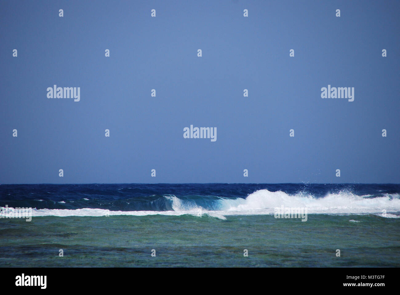 Wild surf mit viel Wellen am Roten Meer mit blauer Himmel Stockfoto