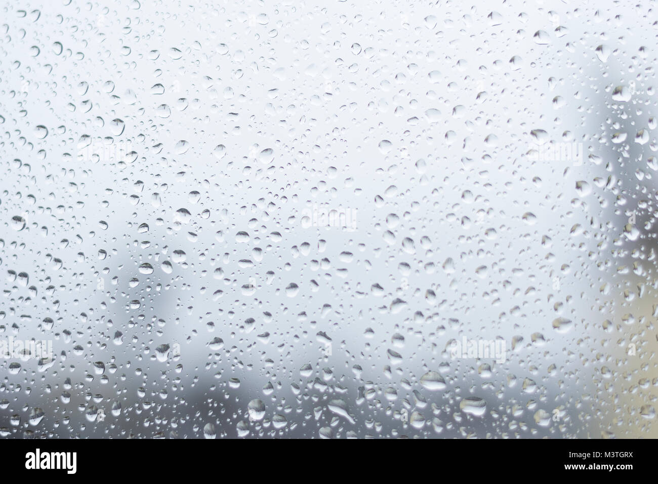 Regentropfen auf einem Fenster Stockfoto