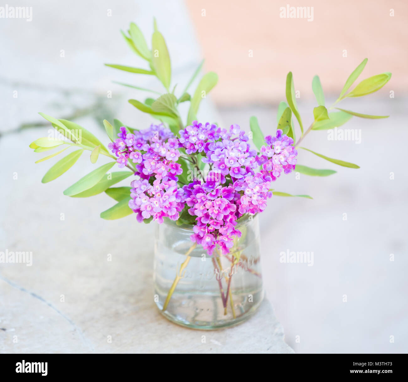 Ein Bündel von Country Garden Blumen in einem Glas Marmeladenglas angeordnet. Stockfoto