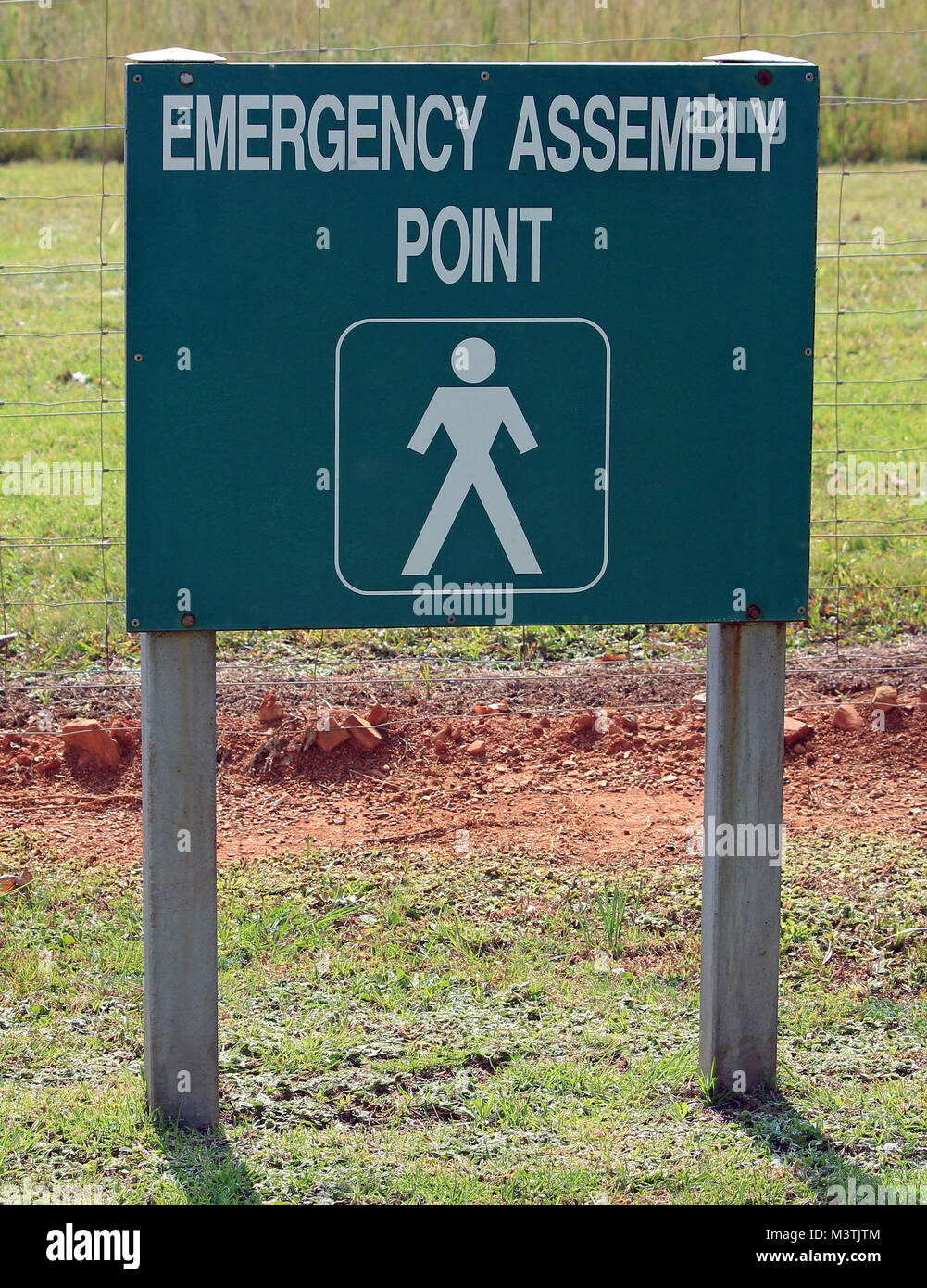 Not-sammelplatz Hinweisschild in weißer Farbe auf grünem Hintergrund fixiert auf zwei Pole zu direkte Menschen, wo im Notfall zu gehen Stockfoto
