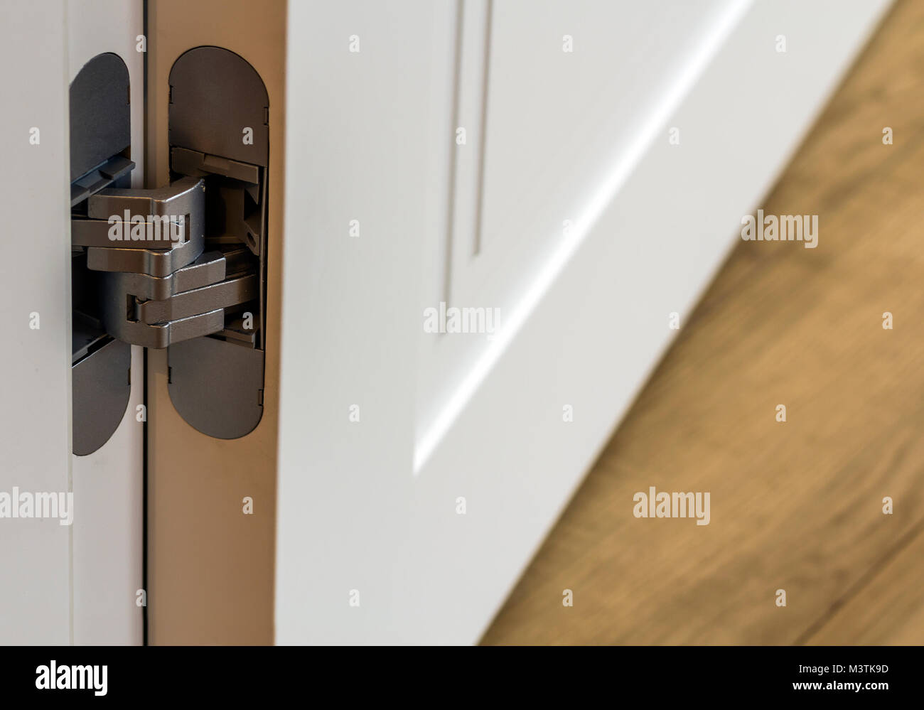 Neue, moderne metal Türscharniere auf weiße Holztüren Stockfoto, Bild