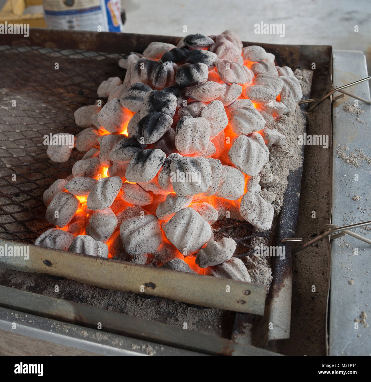 Caja China Schwein oder ganze Tier Holzkohle rösten Box ist eine traditionelle kubanische Methode des Kochens. Stockfoto