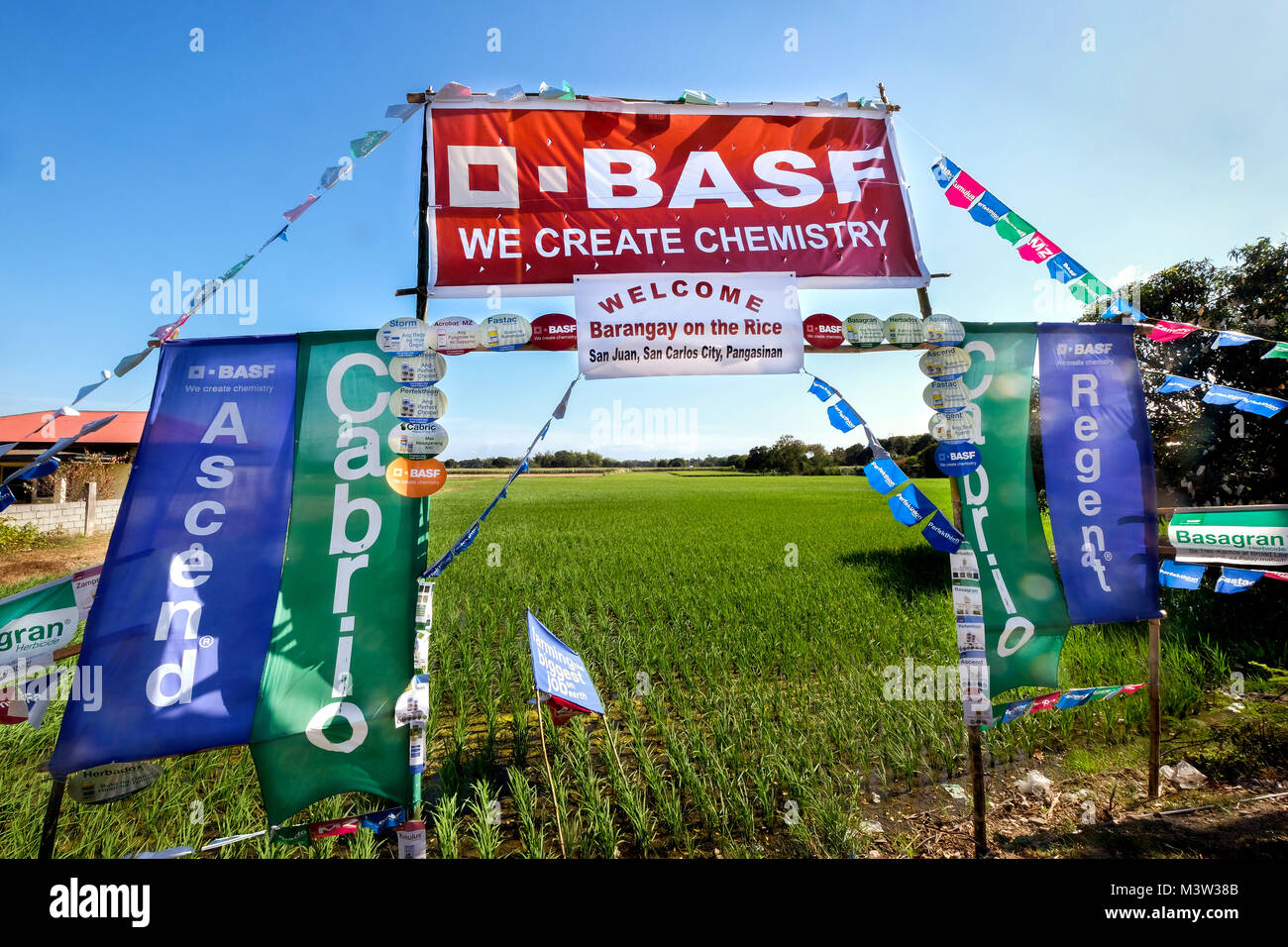 Flaggen der Chemiekonzern BASF in einem Reisfeld in den Philippinen (Pangasinan Provinz) werben für die chemischen Produkte, die der Gruppe, die es verwendet werden. - - - - Fahnen des Chemiekonzerns BASF in einem Reisfeld in den Philippinen (Pangasinan-Provinz) machen Reklame für die chemischen Produkte des Konzern, sterben dort eingesetzt werden. Stockfoto