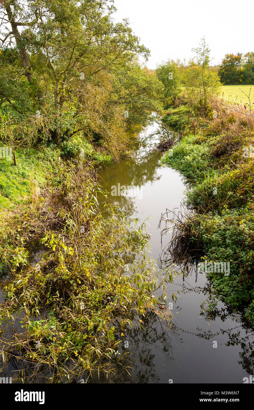 Oberlauf des Flusses Marden, eine tributory zum Wiltshire Avon, in der Nähe von Chippenham GROSSBRITANNIEN Stockfoto