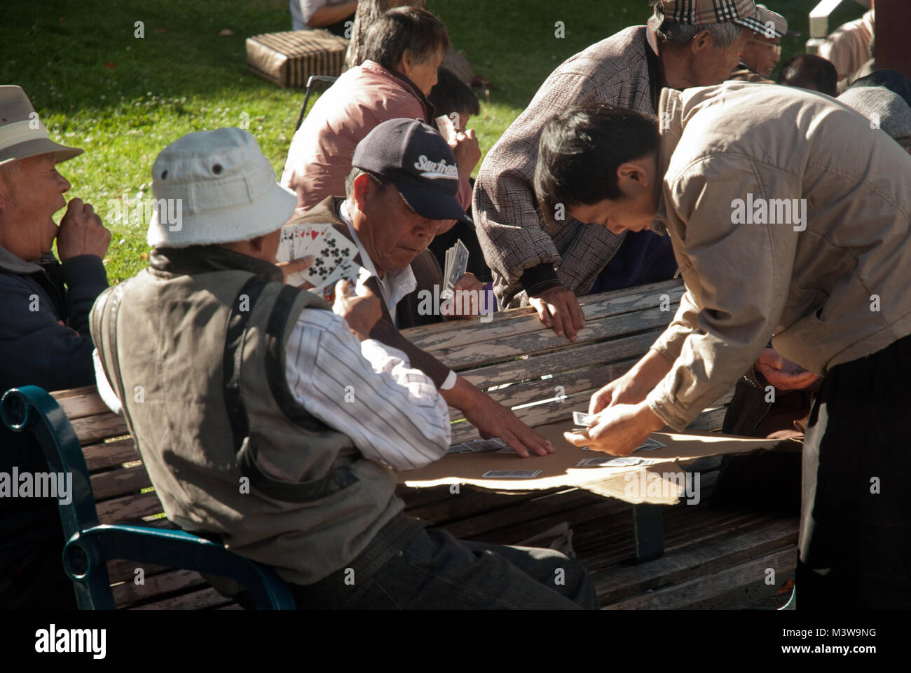 Alte chinesische Männer spielen Karten auf einer Bank in einem Park in San Francisco, Kalifornien Stockfoto