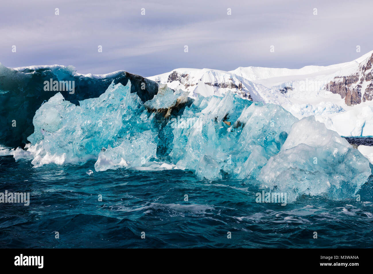 Meereis, Eisberge und schnee- und eisbedeckten Antarktis Landschaft; Rongé Island; Arctowski Halbinsel Stockfoto