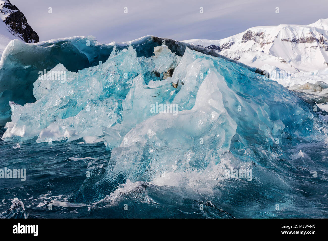 Meereis, Eisberge und schnee- und eisbedeckten Antarktis Landschaft; Rongé Island; Arctowski Halbinsel Stockfoto