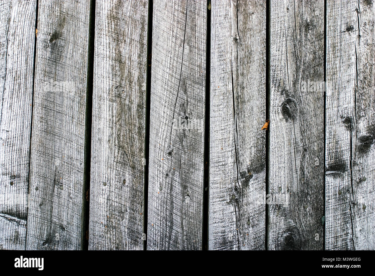 Hintergrund einer Holzwand mit vertikalen grauen Platten mit Kreissäge Markierungen. Stockfoto
