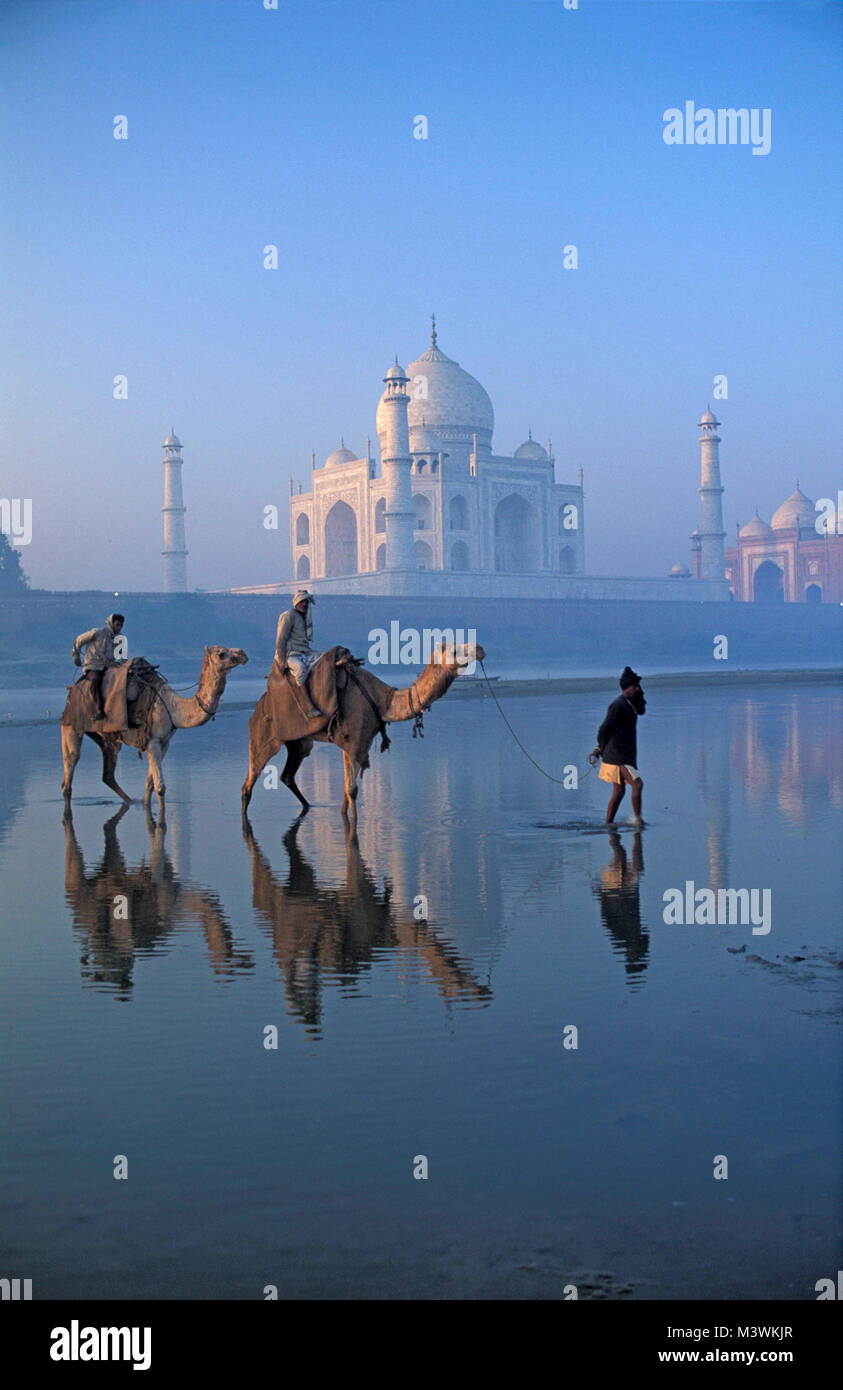 Indien. Agra. Taj Mahal. Mausoleum. Islamische Mughal Architektur. Menschen und Kamele Kreuzung Yamuna-fluss. Dawn. Unesco-Weltkulturerbe. Stockfoto